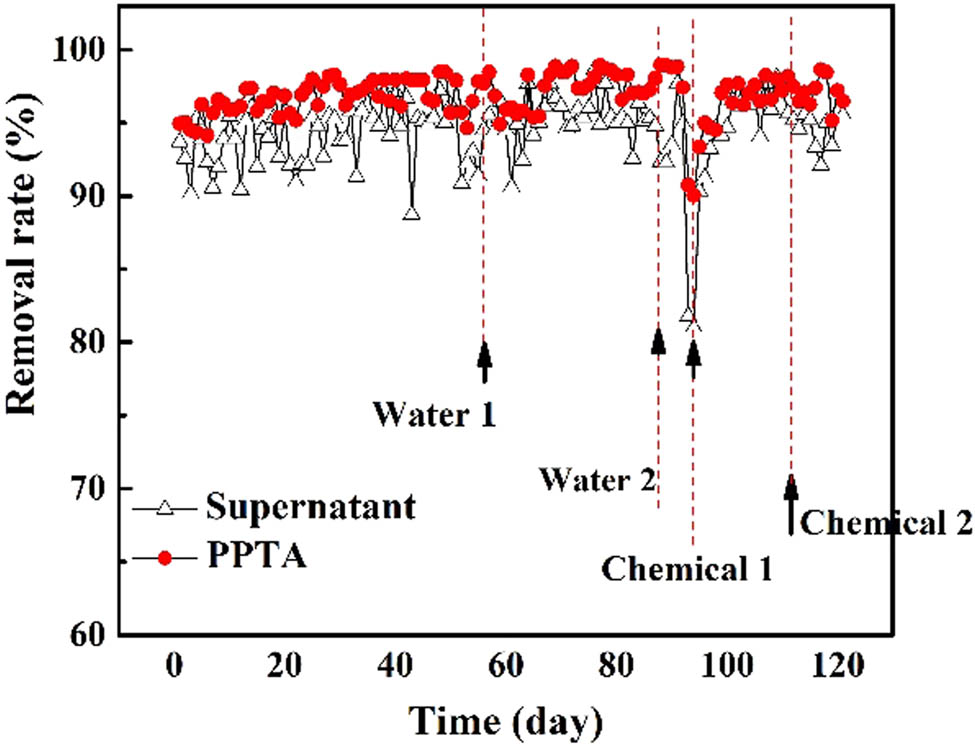 Figure 9
The NH4
+–N removal rate in the supernatant and HBR PPTA-3# hollow fiber membranes.