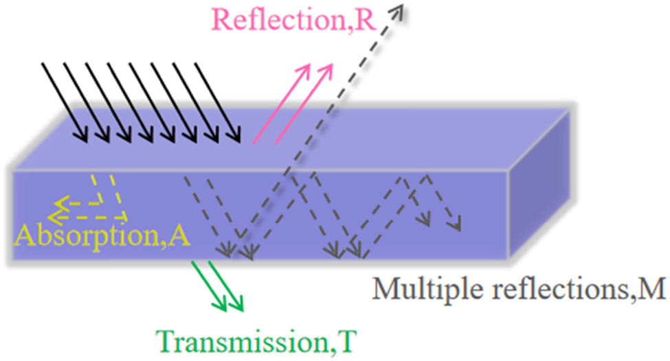 Figure 3
The principle of EMS.