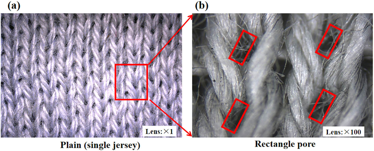 Figure 8
(a) The surface structure of the plain (single jersey) and (b) the rectangle pore.