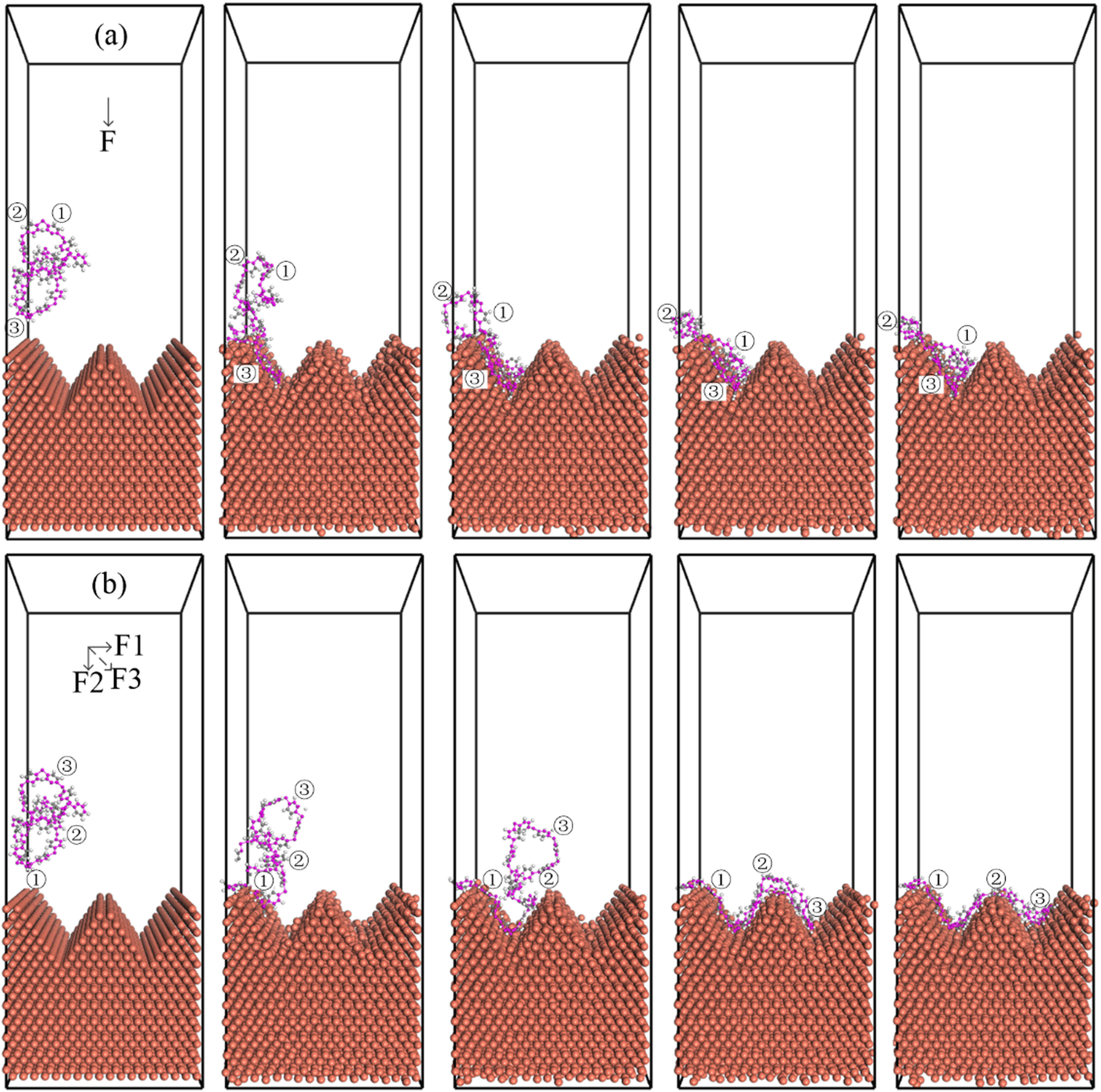Figure 4 
                  The motion trajectory of the single chain under different process conditions: (a) injection angle of 0° and (b) injection angle of 45°.
               