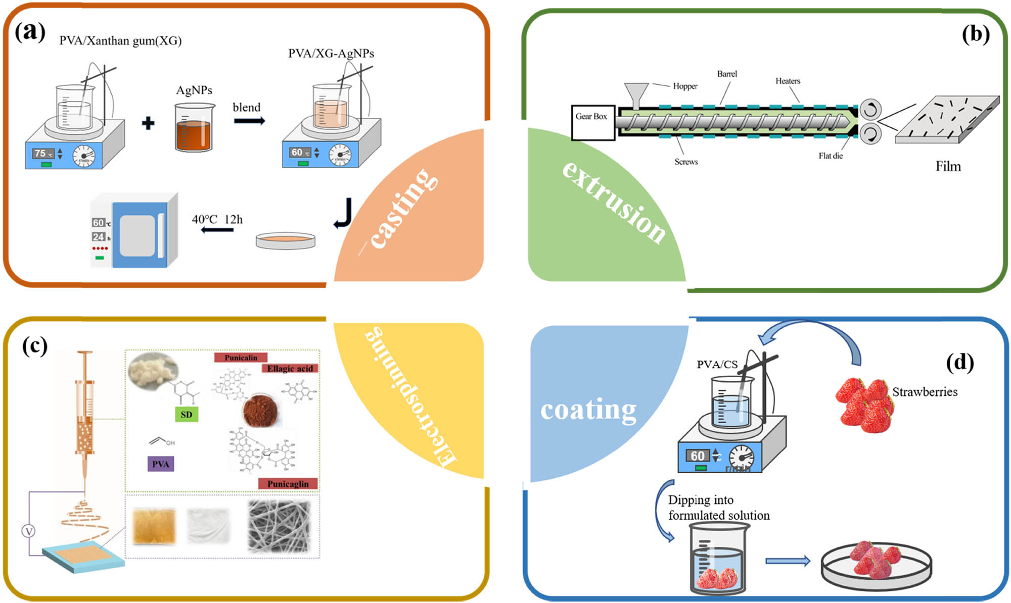 Figure 1 
                Common preparation methods in PVA based (a) casting, (b) extrusion, (c) electrospinning (31), and (d) coating.