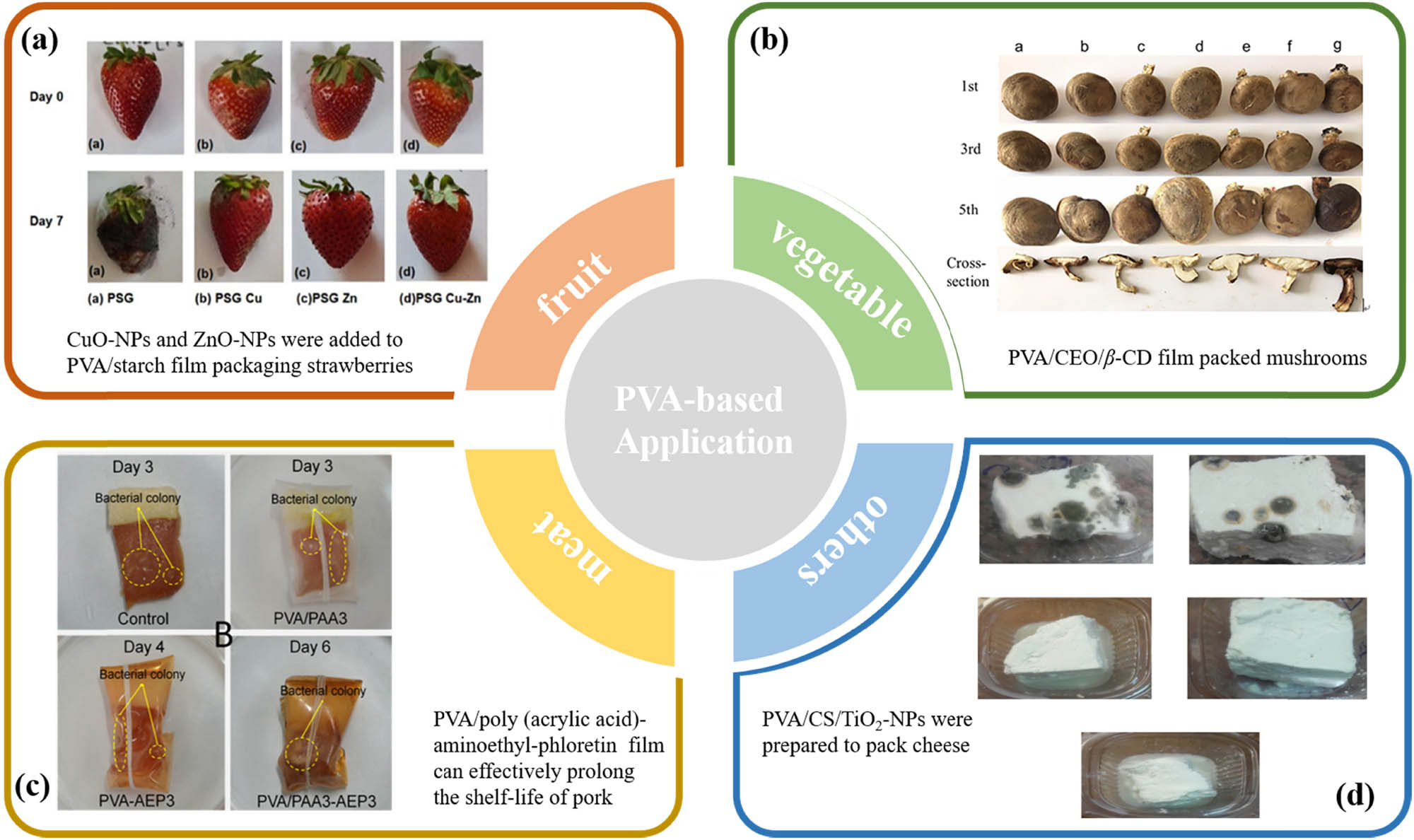 Figure 4 
                  Application of PVA-based food package film in different fields: (a) strawberries (38), (b) mushroom (119), (c) pork (121), and (d) cheese (Karish) (12).