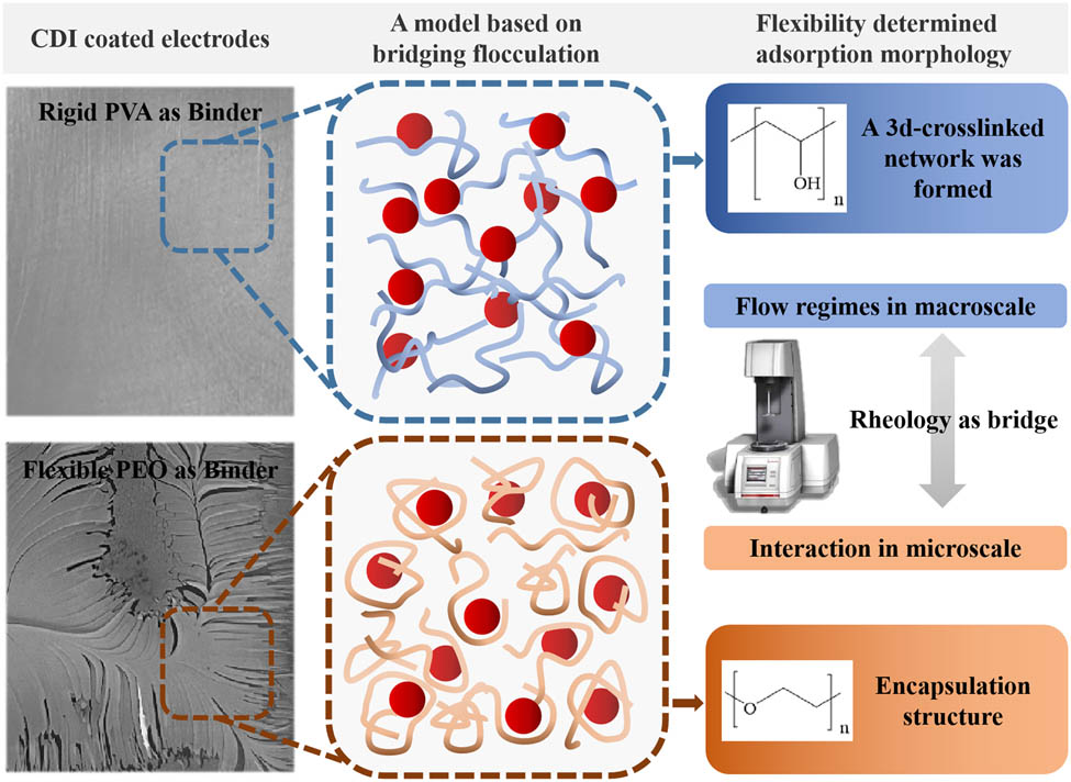 Rheological behavior of particle-filled polymer suspensions