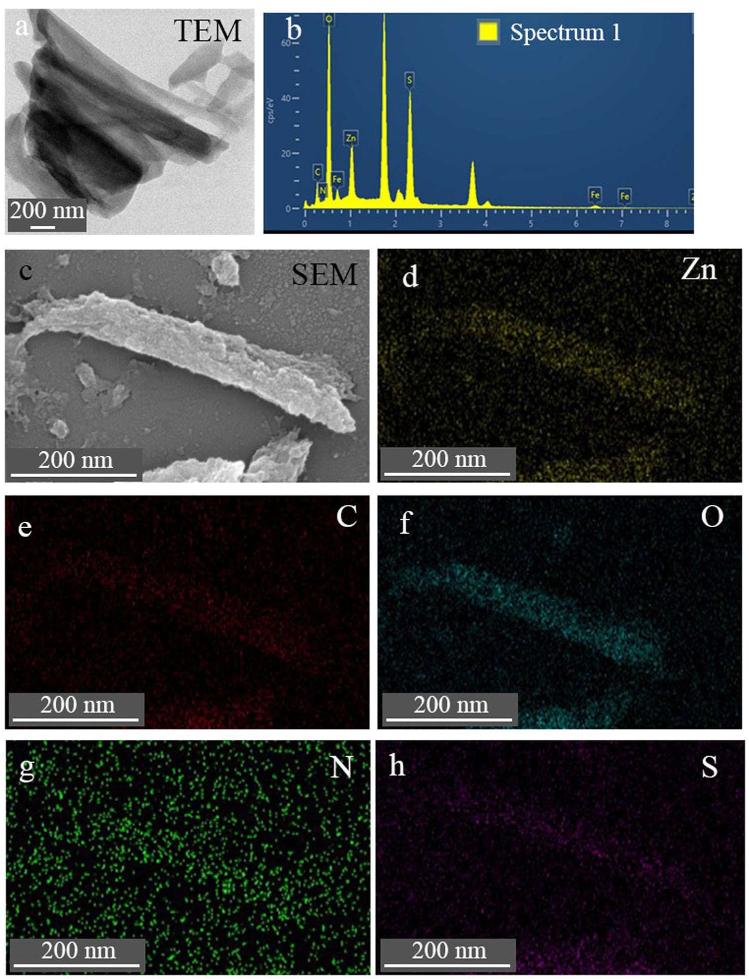 Figure A1 
                  (a) TEM, (b) EDS under TEM, (c) SEM and (d–h) elemental mapping under SEM of TE@Zn-MOFs.