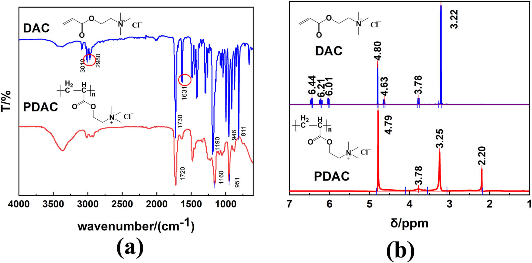 Figure 2 
                  FTIR spectra (a) and 1H NMR spectra (b) of DAC and PDAC.
               