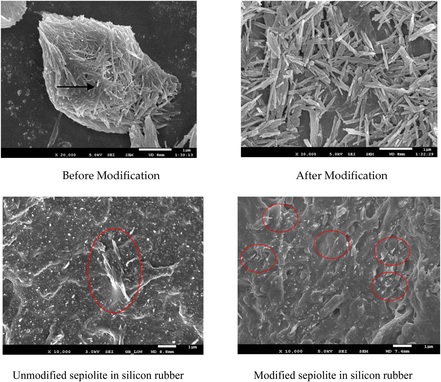 Figure 6 
                  SEM photographs of SEP before and after modification (Scale bar = 1 μm).