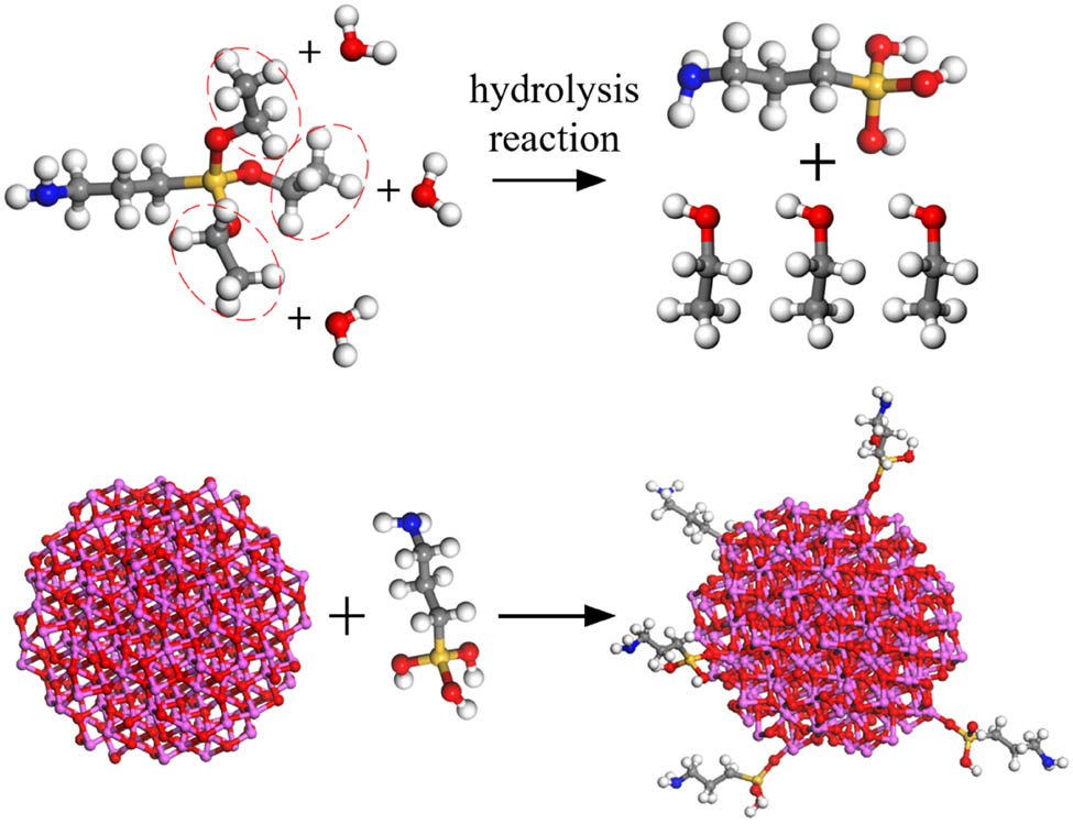 Figure 2 
                  Silane coupling agent modification process.
               