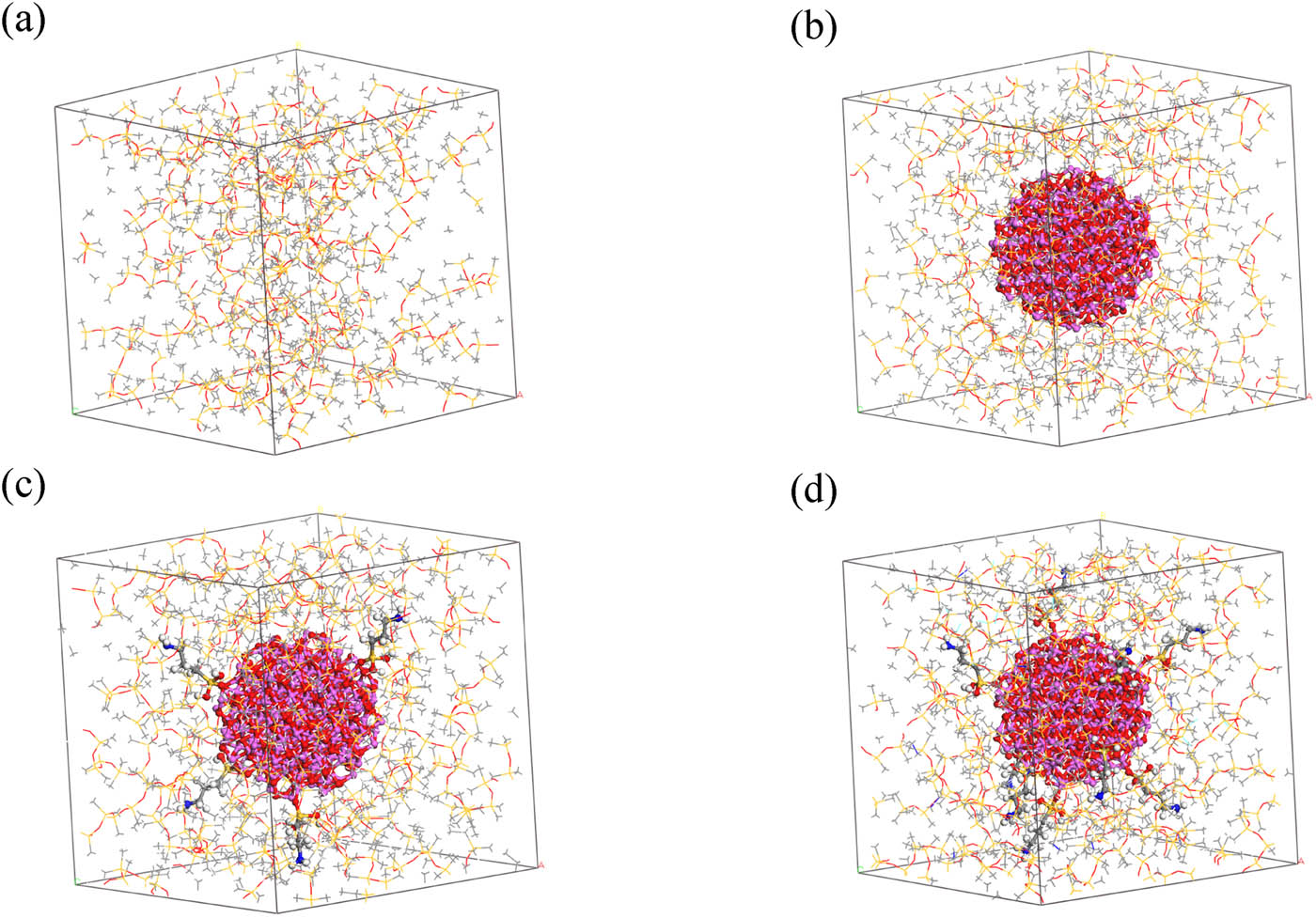 Figure 3 
                  Optimized models before cross-linking: (a) ALSR, (b) ALSR-1, (c) ALSR-2, and (d) ALSR-3.
               