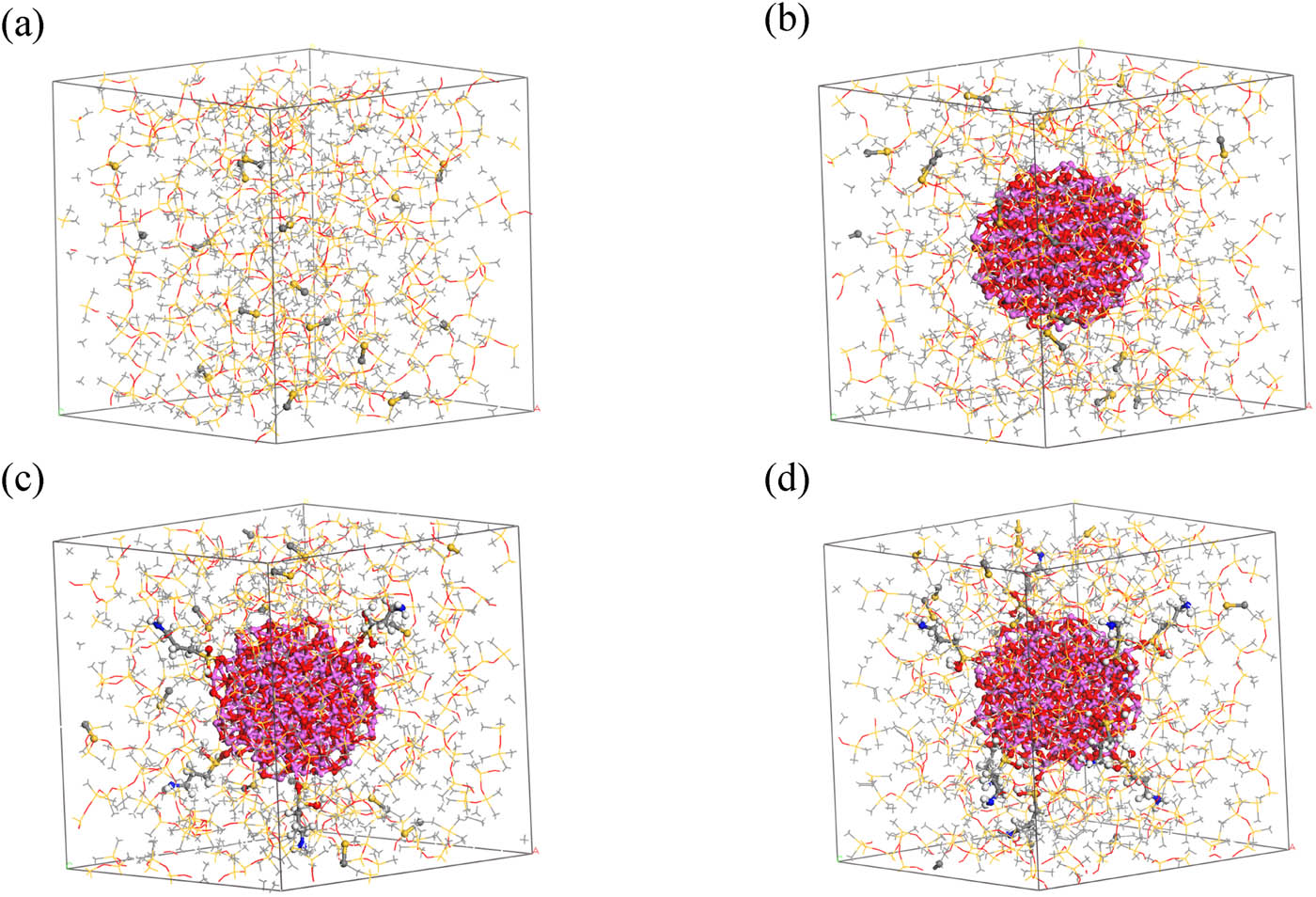 Figure 5 
                  Optimized models after cross-linking: (a) ALSR, (b) ALSR-1, (c) ALSR-2, and (d) ALSR-3.
               