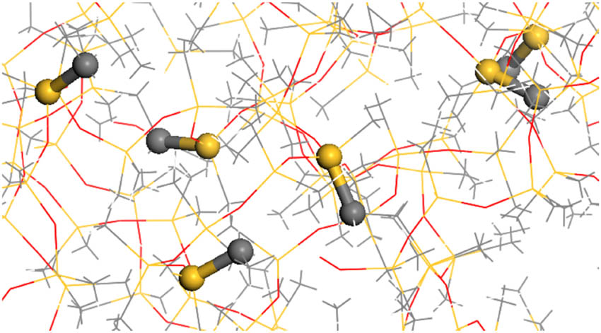 Figure 6 
                  Cross-linking bonds.
               