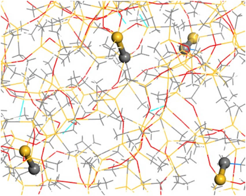 Figure 4 
                  New bonds generated by crosslinking.
               