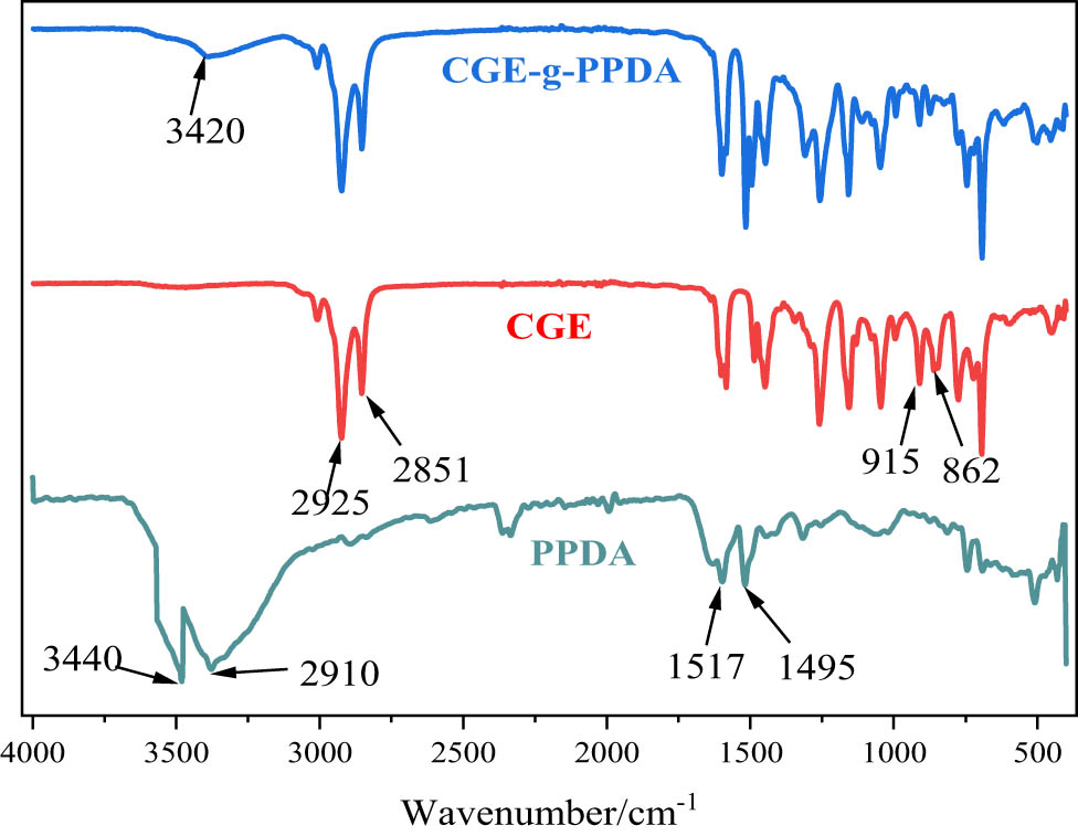 Figure 3 
                  FTIR spectrum of PPDA CGE and the product.
               