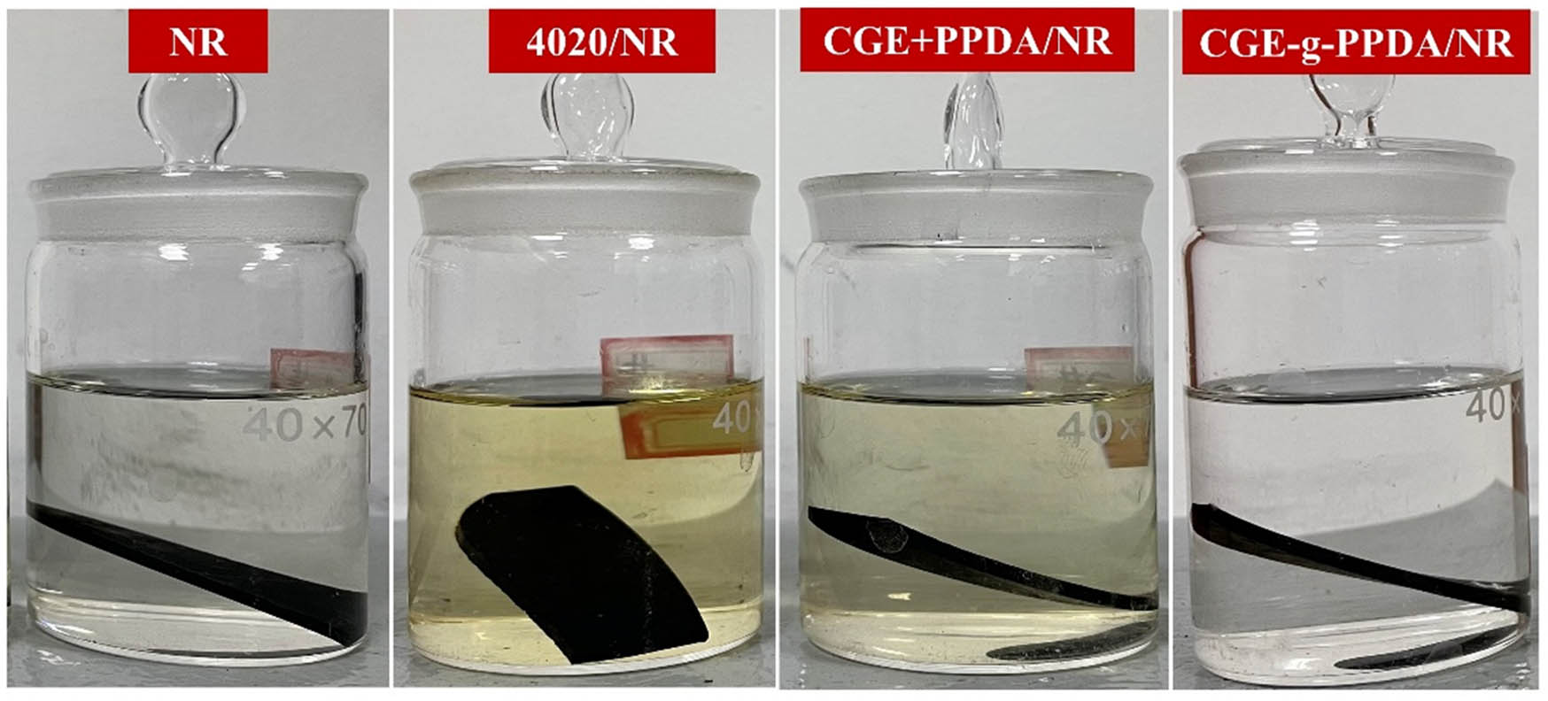 Figure 12 
                     NR vulcanizates soaked in anhydrous ethanol for 120 h.
                  