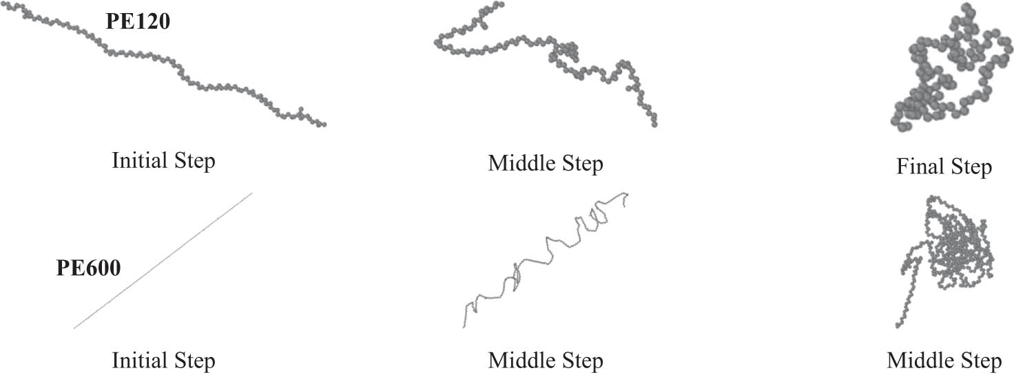 Figure 1 
               Structural evolution of PE120 and PE600 chains in the modeling phase of current computational research. These graphical outputs were created using OVITO (35) software.