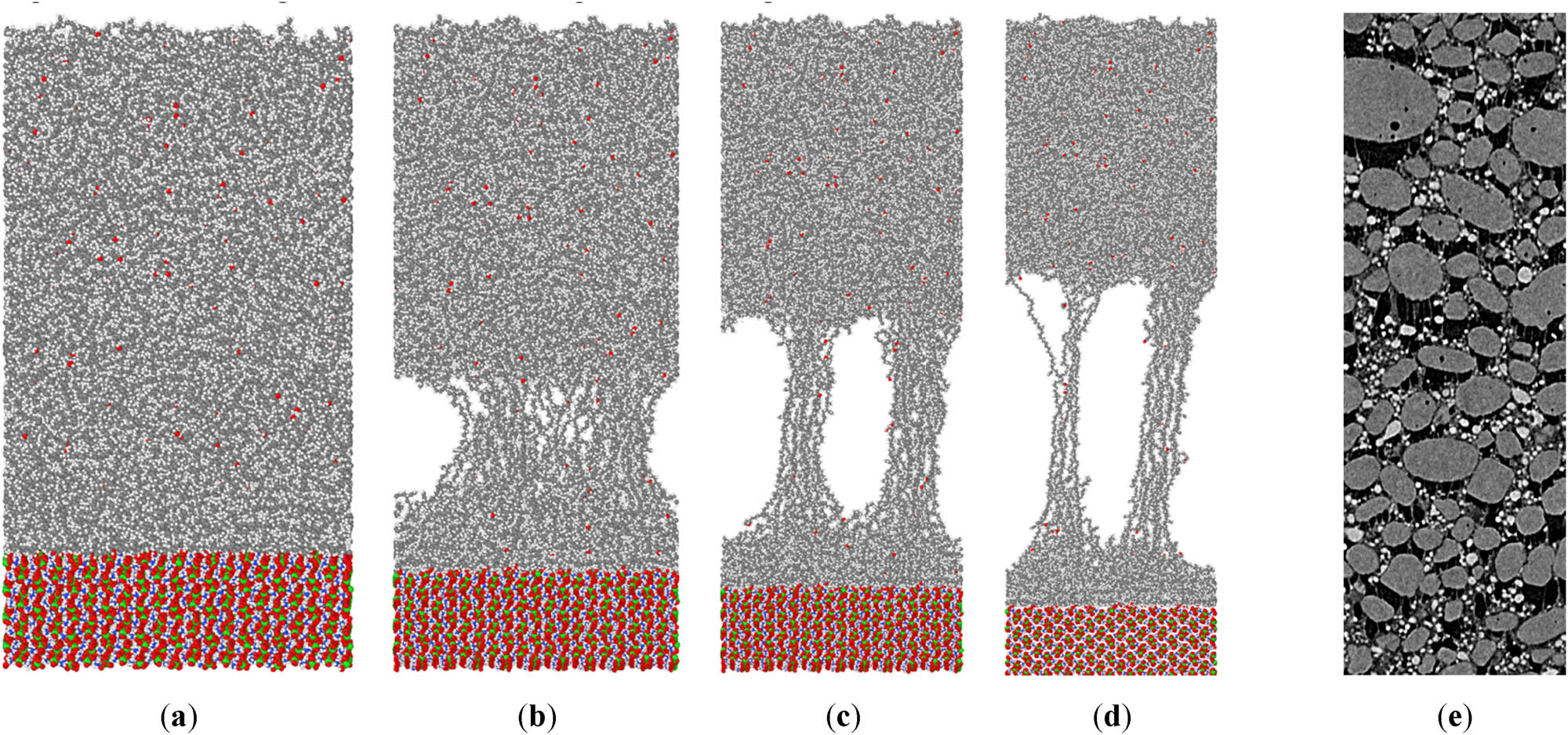 Figure 7 
                  HTPB/AP interface stretching process: (a) Δ = 0, (b) Δ = 40, (c) Δ = 80, (d) Δ = 120, and (e) in situ CT experiment.
               