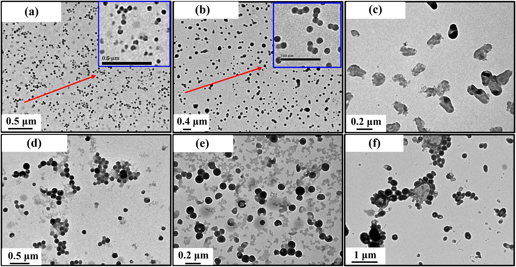 Figure 3 
                  TEM micrographs of the PDMA43-b-P([MVBIm][BF4])
                        x
                      BCPs at 20% w/v solids in ethanol. (a) x = 57, (b) x = 78, (c) x = 98, (d) x = 114, (e) x = 145, and (f) x = 192.
               