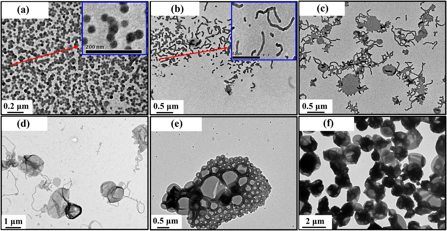 Figure 4 
                  TEM micrographs of the PDMA43-b-P([BVBIm][BF4])
                        x
                      BCPs at 20% w/v solids in ethanol at 70°C. (a) x = 48, (b) x = 69, (c) x = 78, (d) x = 88, (e) x = 115, and (f) x = 132.
               