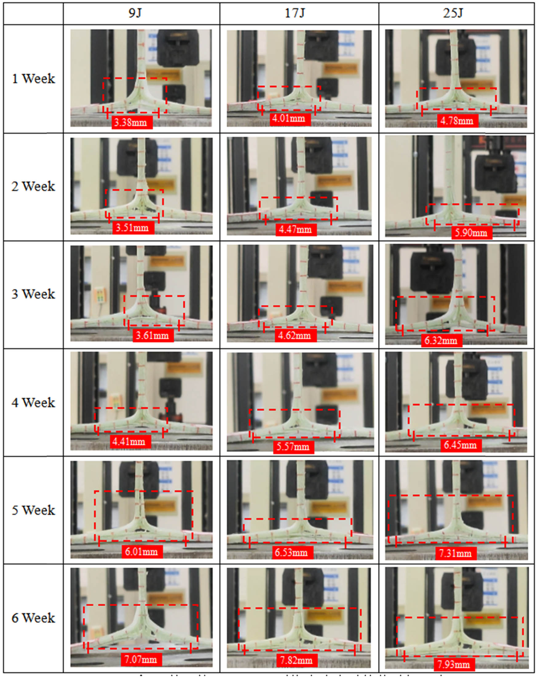 Figure 10
Tensile damage morphology after hydrothermal aging at 25°C.