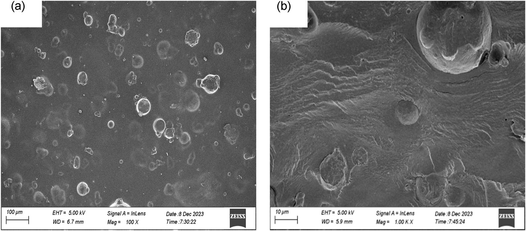 Figure 3 
                  (a) SEM images of the surface of CGVC film and (b) the cross-section of CGVC film.
               