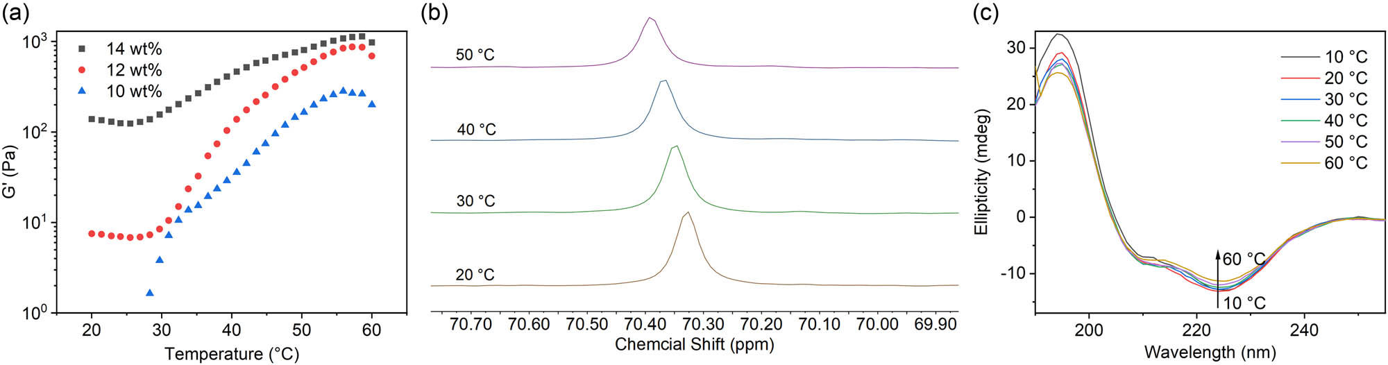 Figure 3 
                  (a) The storage modulus (G′) profiles of the mPEG2k-b-PMLG15 solution (10, 12, and 14 wt%) from 10°C to 60°C, (b) 13C NMR spectra of polymer solution at temperature of 20°C–50°C, and (c) CD spectra of the mPEG2k-b-PMLG15 solution (0.05 mg·mL−1, 10°C–60°C).
               