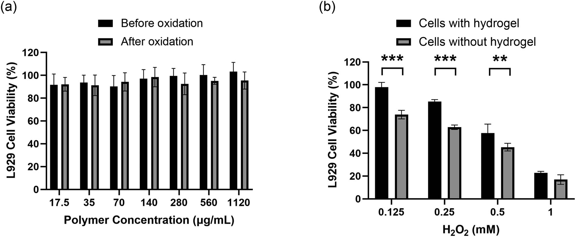 Figure 5 
                  (a) Cell survival rates of mouse fibroblasts cells (L929) after 24 h incubation with mPEG2k-b-PMLG15 solution or their oxidation products at different concentrations. It should be noted that the raw mPEG2k-b-PMLG solution formed hydrogel at 37°C, and (b) cell viability of L929 cells cocultured with 12 wt% hydrogel for 24 h in the presence of 0.125,0.25,0.5, and 1 mM H2O2 in DMEM. Data are shown as mean ± SD (n = 3), **P < 0.01, ***P < 0.001.
               