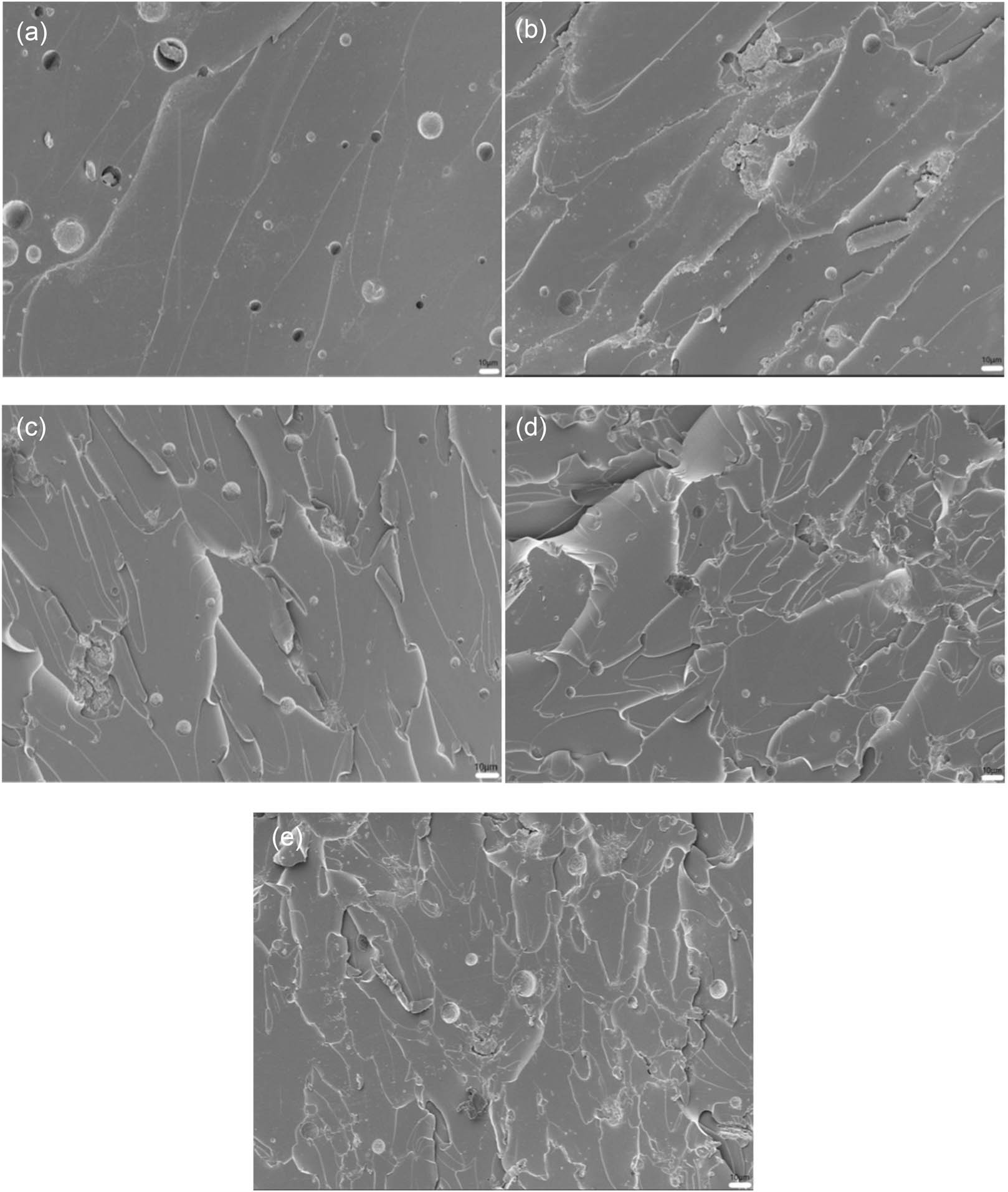 Figure 2 
                  SEM images of fracture surfaces of pure EP (a), EP-BIB-0.3% (b), EP-BIB-0.6% (c), EP-BIB-0.9% (d), and EP-BIB-1.2% (e) samples cured at room temperature.
               