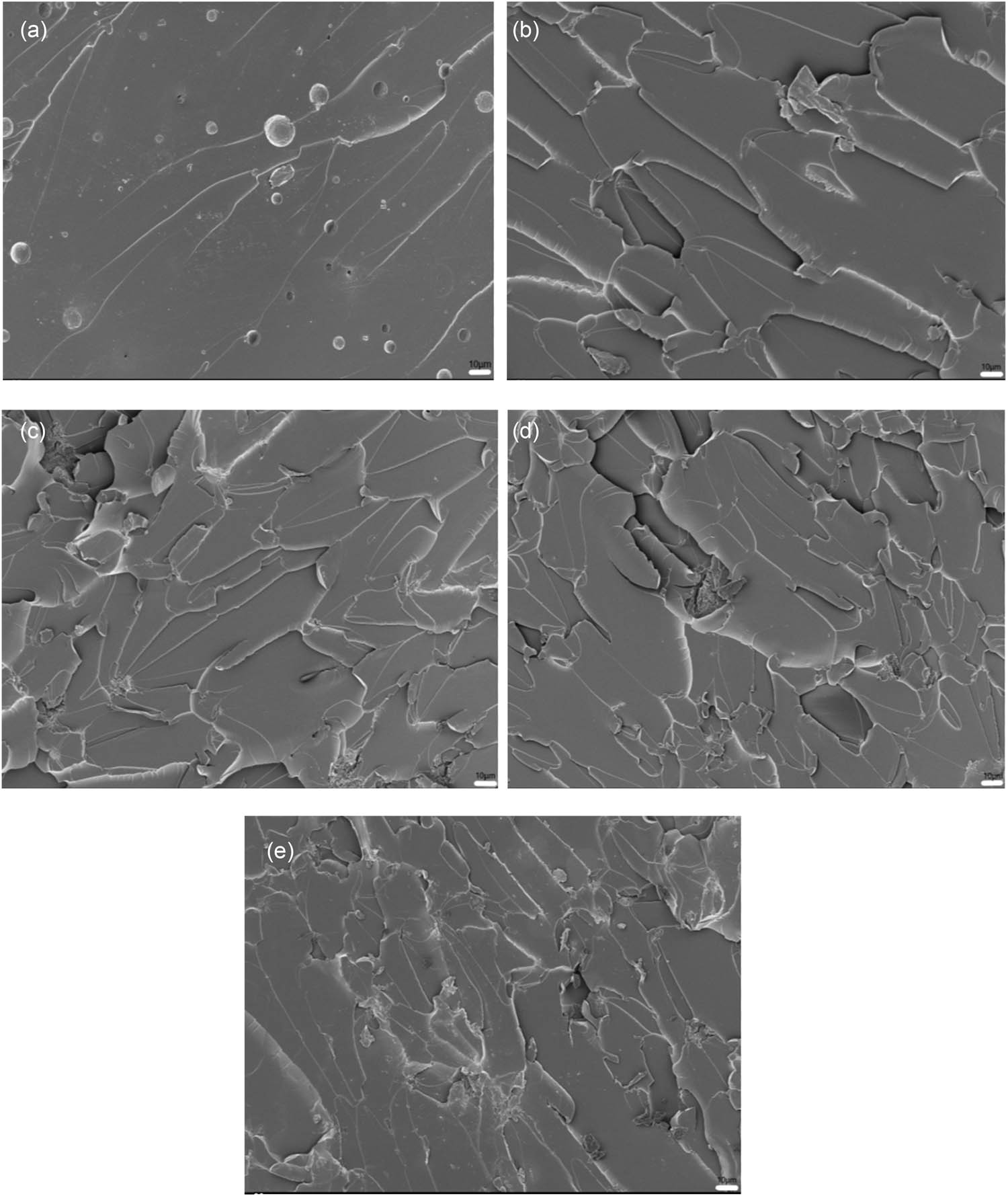 Figure 3 
                  SEM images of fracture surfaces of pure EP (a), EP-BIB-0.3% (b), EP-BIB-0.6% (c), EP-BIB-0.9% (d), and EP-BIB-1.2% (e) samples cured at 40°C.
               