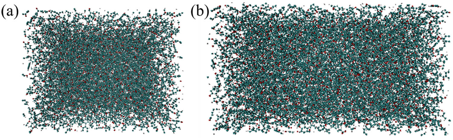 Figure 3 
                  (a) Stretching processes of PEEK model and (b) maximum strain of 1.2.
               
