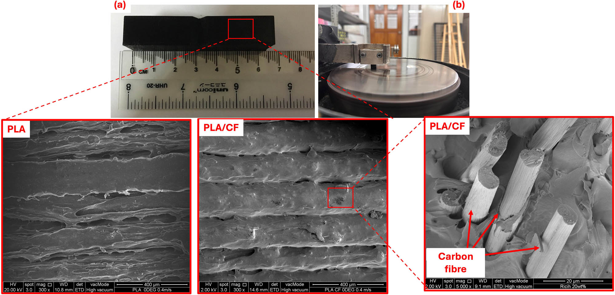 Figure 2 
                  (a) Example of the printed PLA/CF sample impact test and enlarged microscopic images of PLA and PLA/CF samples of its cross-sectional area and (b) PLA/CF samples following ASTM G99-95a for pin-on-disk testing.
               