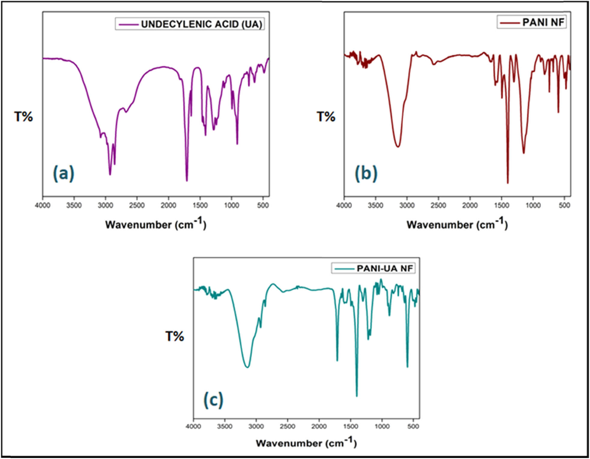 Figure 3 
                  FTIR spectra of: (a) UA, (b) PANI NFs, and (c) PANI/UA NFs.
               