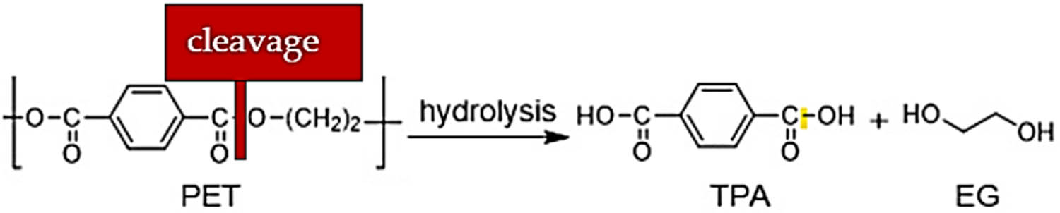 Figure 3 
               Depolymerization of PET by cleavage of esteric bonds.
            