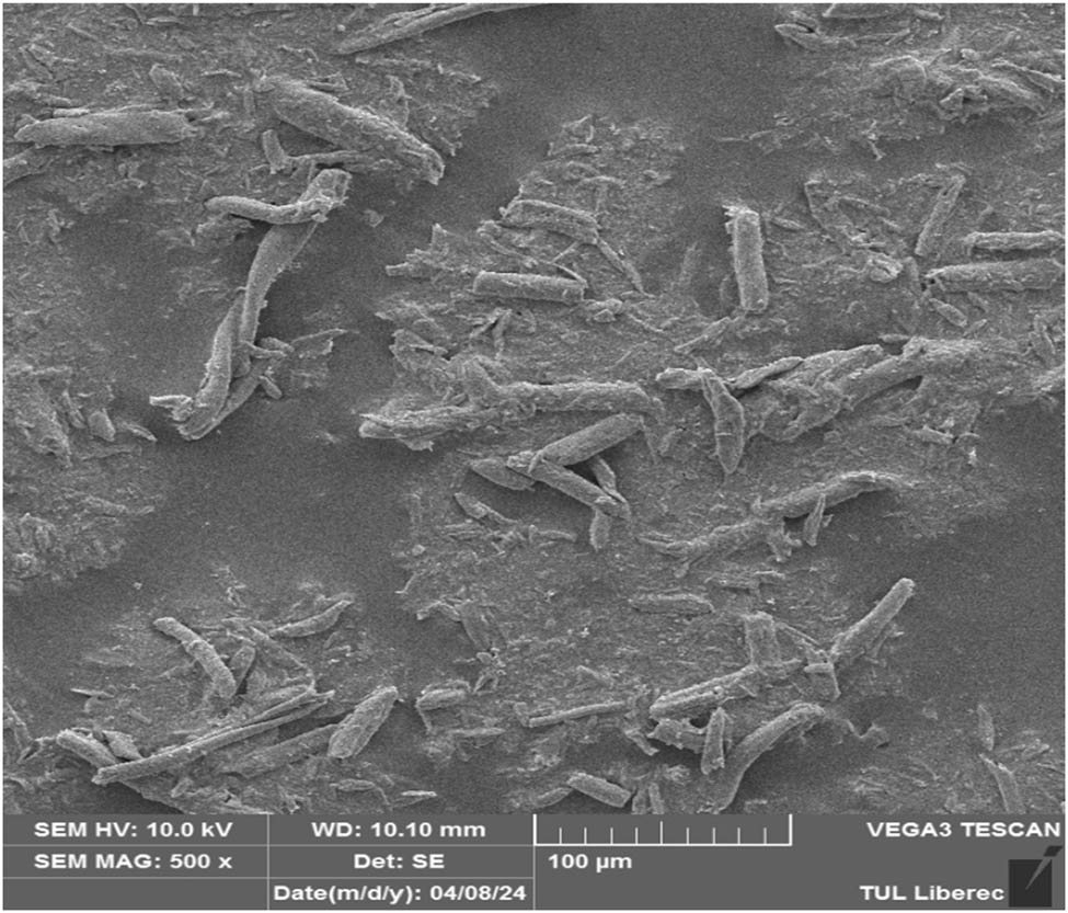 Figure 6 
               SEM image of cellulose fibrils after hydrolysis by 1:1 HCl for 2 h at 80°C.
            