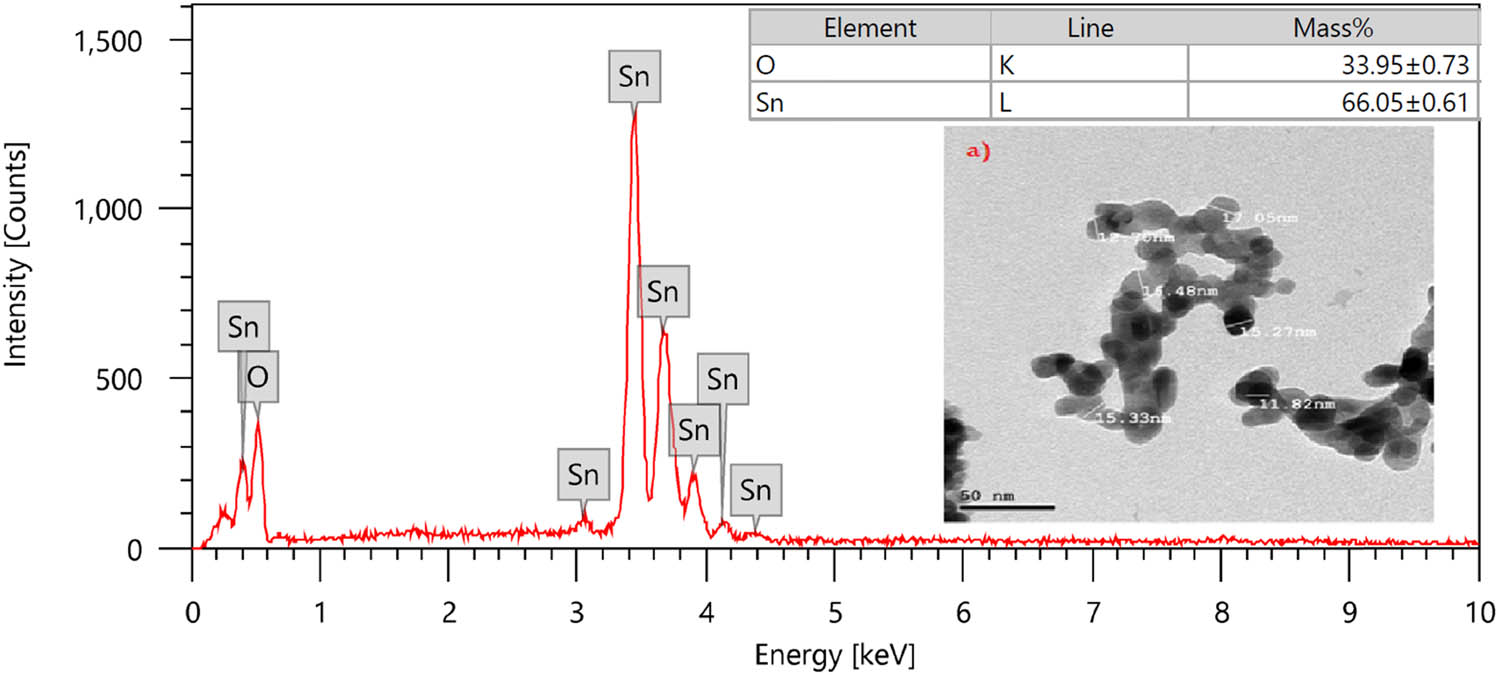 Figure 2 
               EDX and TEM results of SnO-NPs.
            