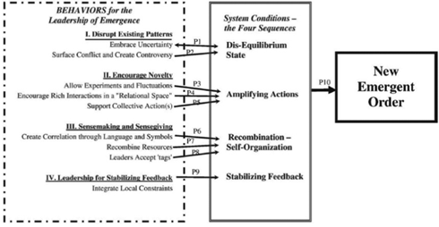 Figure 4: Behaviors that co-generate the conditions for new emergent order Lichtenstein and Plowman (2009).