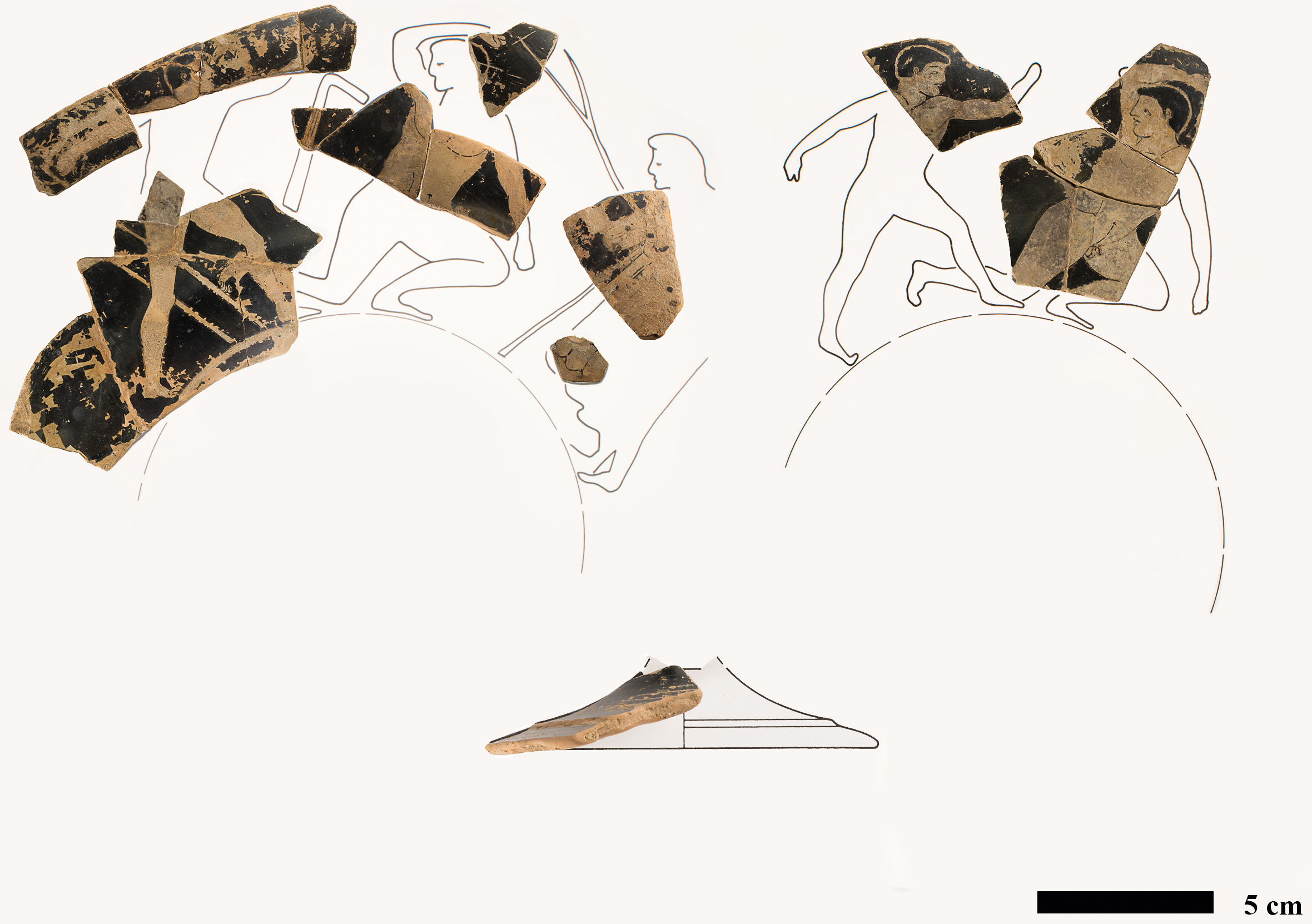 Fig. 5 Reconstruction of red-figure kylix (PC 98–050) by J. Neils. Joining fragments only are shown. (Drawing by JoAnn Boscarino; courtesy MVAP). Photo: R. Bidgood.