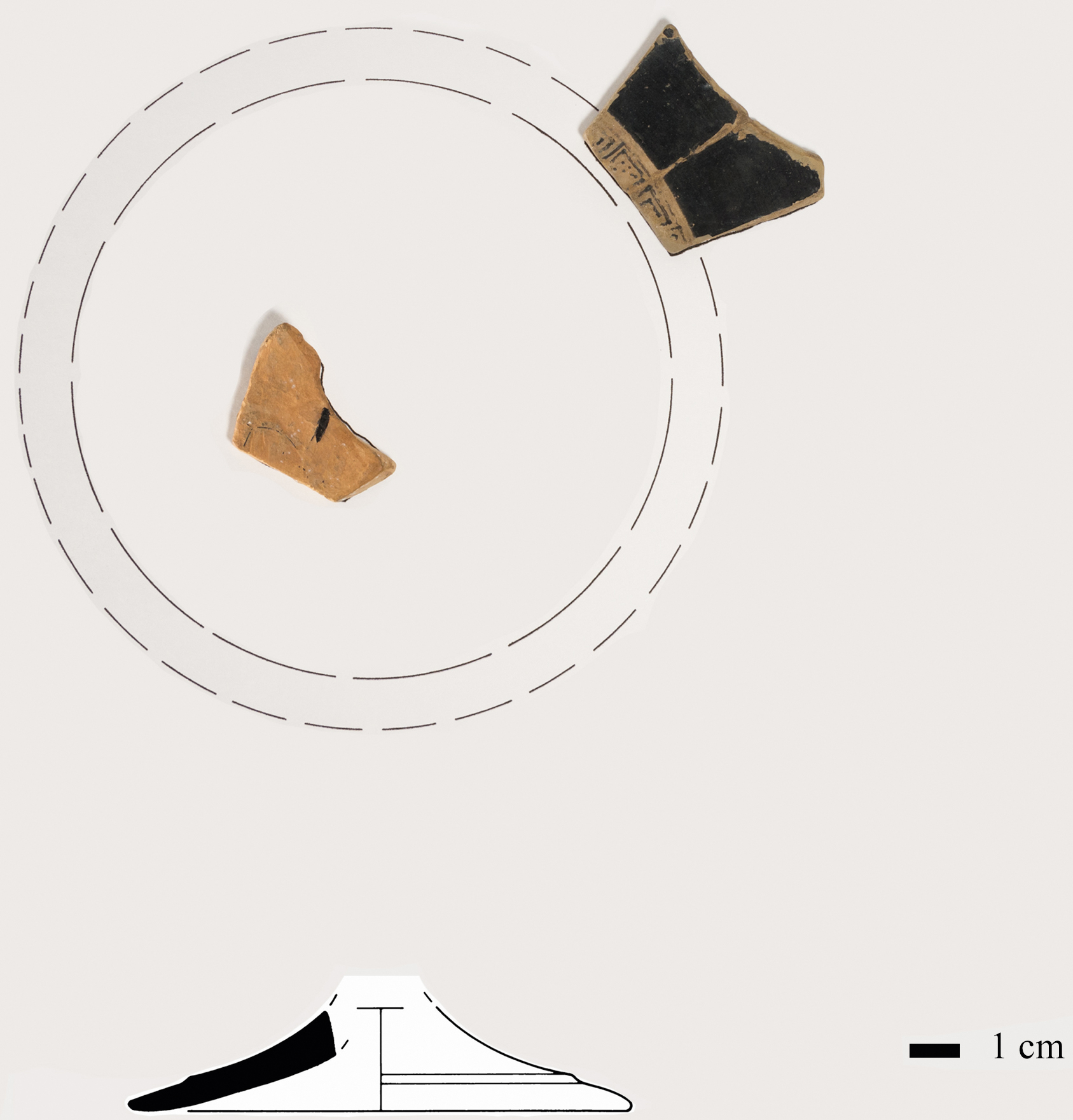 Fig. 6 Reconstruction of interior of red-figure kylix (PC 98–050) by author and profile drawing of foot. (Drawings by JoAnn Boscarino; courtesy MVAP). Photo: R. Bidgood.
