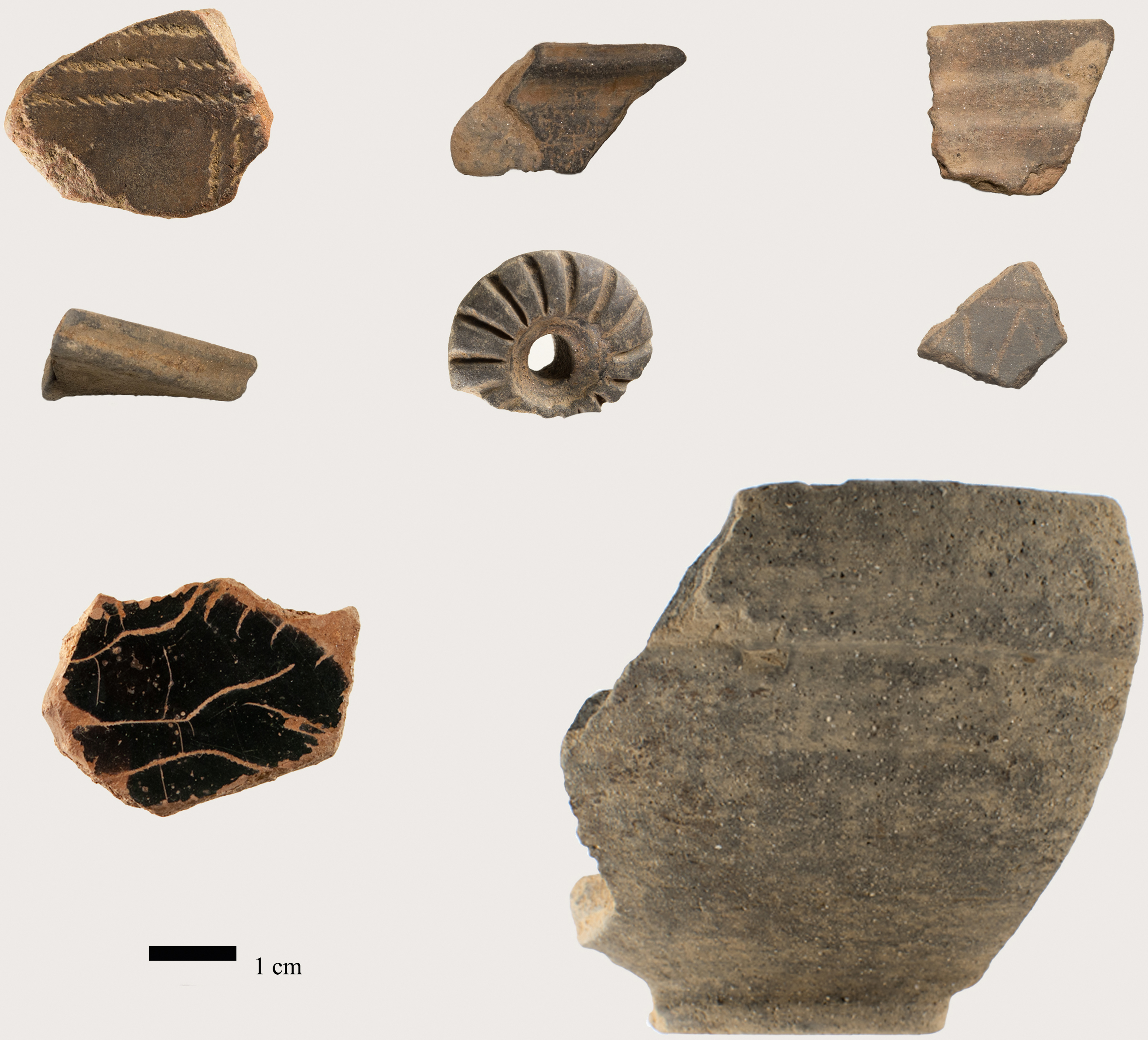 Fig. 15 Bucchero context pottery from context 8-13-5–2; Bucchero spindle whorl (PC 98–052); Attic black-figure fragment (PC 99–054); Grey fine ware bowl (PC 99–174). (Courtesy MVAP).