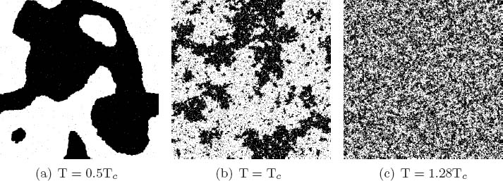 Figure 2 Ising model simulations of a dynamic system at critical and non-critical temperatures. (a) Binary 256 × 256 lattices showing the configuration of spins after 2,000 timesteps at low temperature T = 0.5 Tc; (b) at critical temperature T = Tc; (c) at high temperature T = 1.28 Tc. At high temperature the spins are randomly configured, at low temperature they have an alignment of spins, and at critical temperature they have a fractal configurationLink: https://github.com/mattbierbaum/ising.js