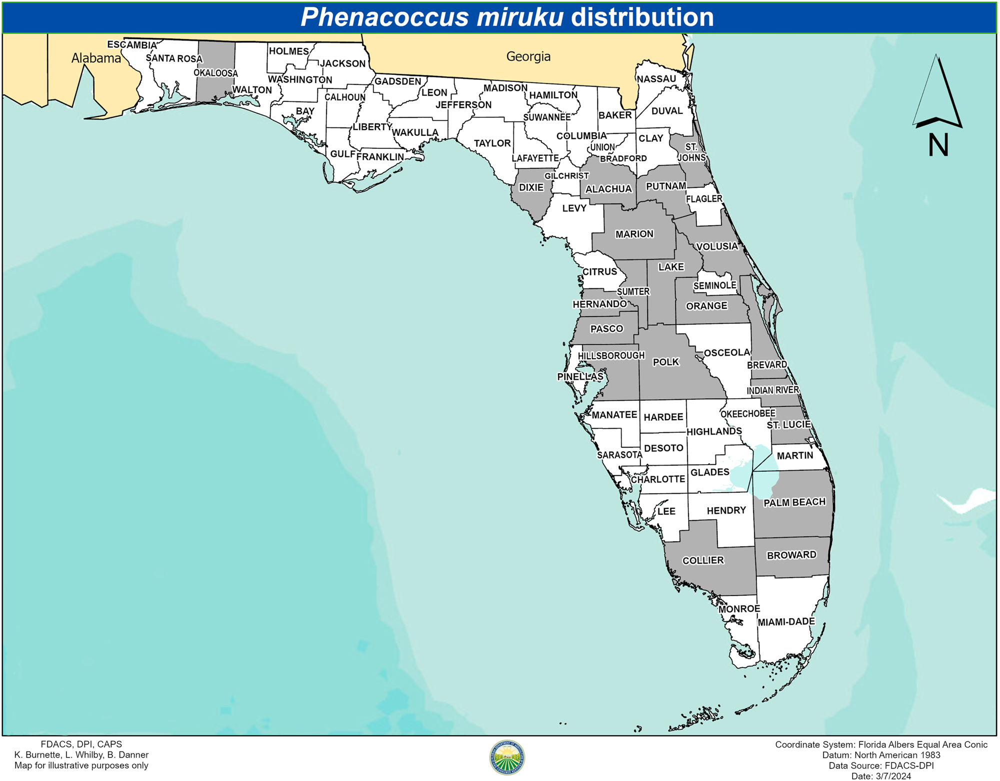 Figure 4:
Map of Florida with recorded Phenacoccus miruku distribution (counties shaded in grey) from 2019 to 2024. Map created by K. Burnette.