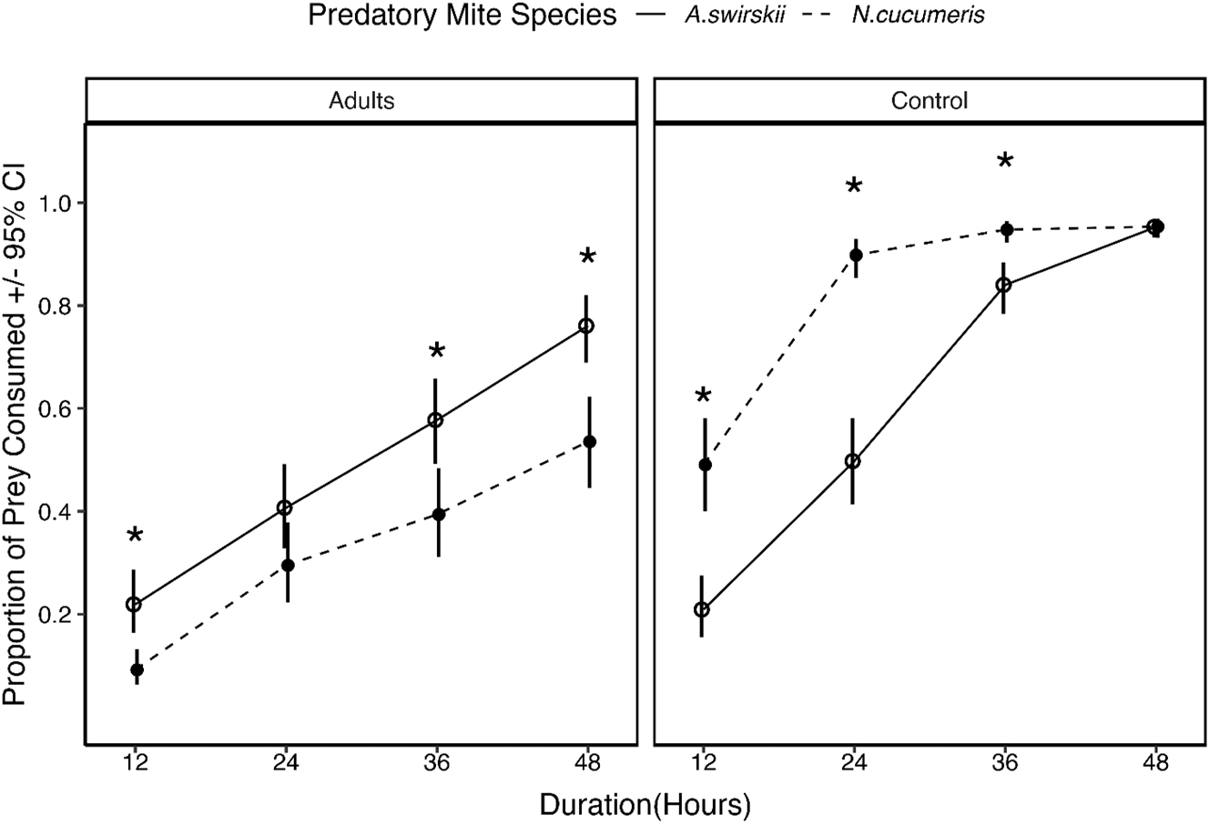 Figure 2: 
Consumption of adult Tetranychus urticae and adult Acarus spp. (control) by Neoseiulus cucumeris and Amblyseius swirskii at different time points. *Comparisons that are significantly different (Tukey P < 0.05).
