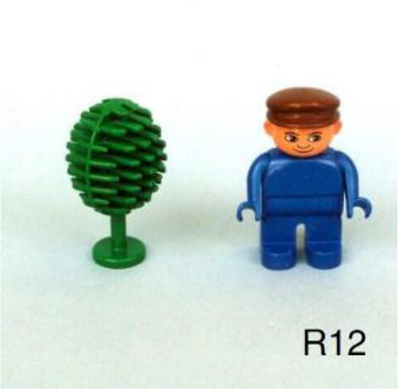 Figure 2: 
M&T card R12.
