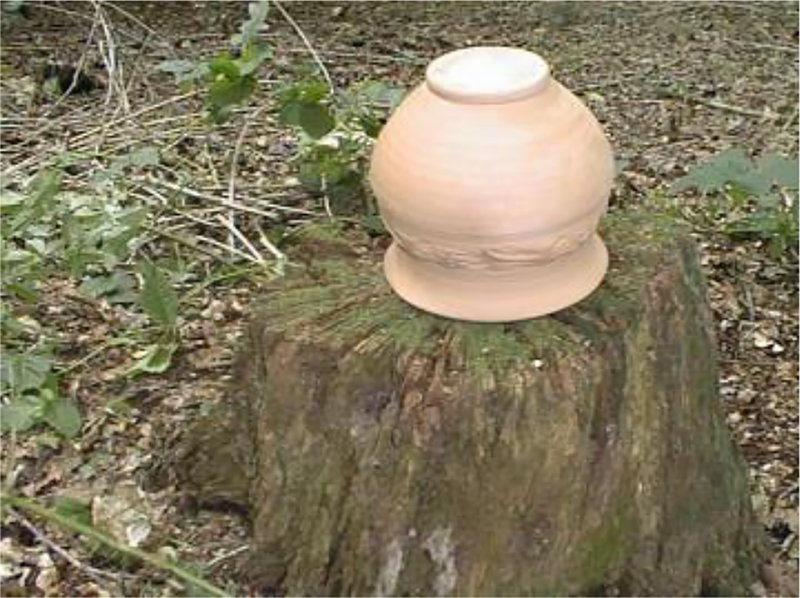 Figure 3: 
PSPV picture 12.
