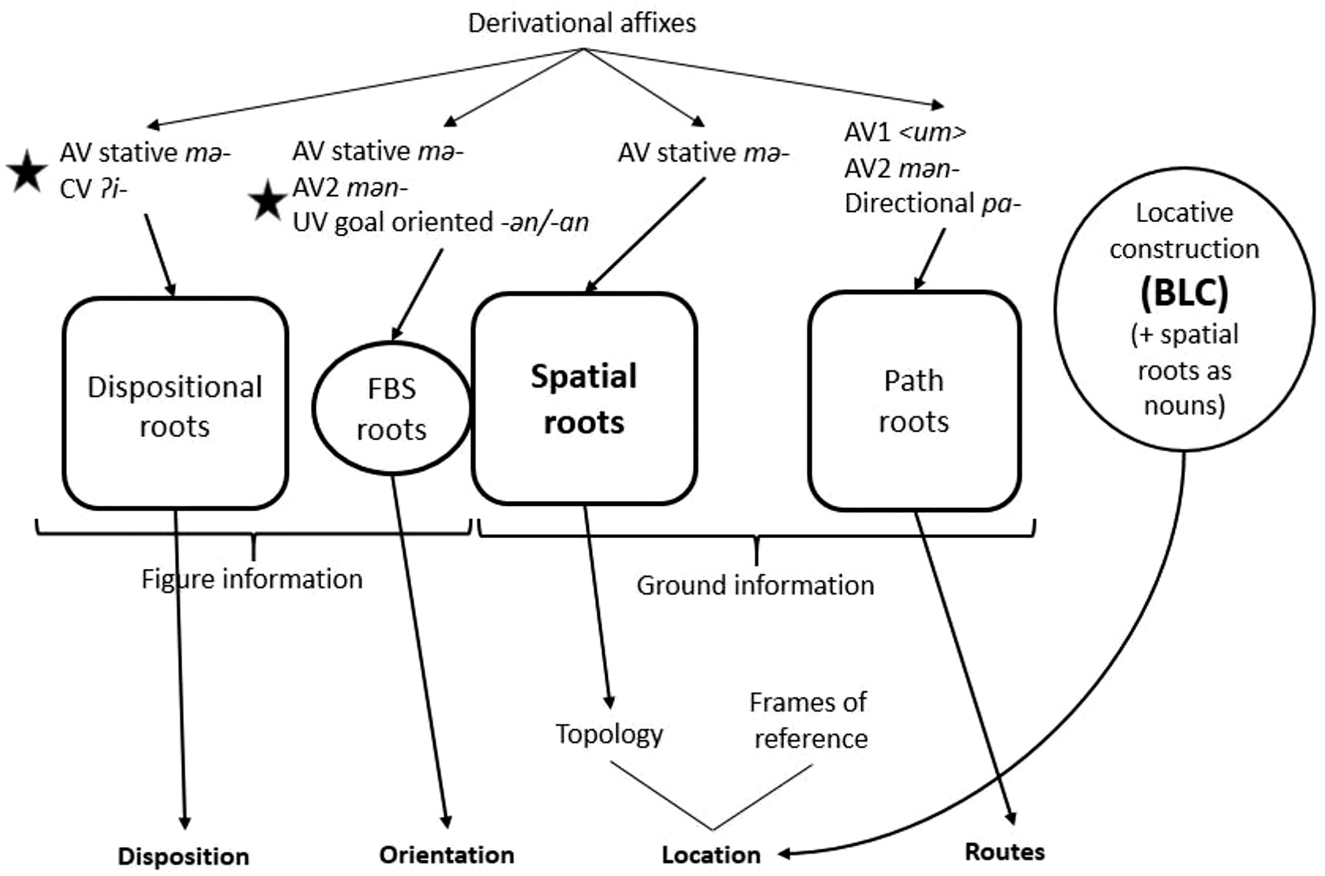 Figure 4: 
Lexical and grammatical components of Northern Alta spatial expressions.
