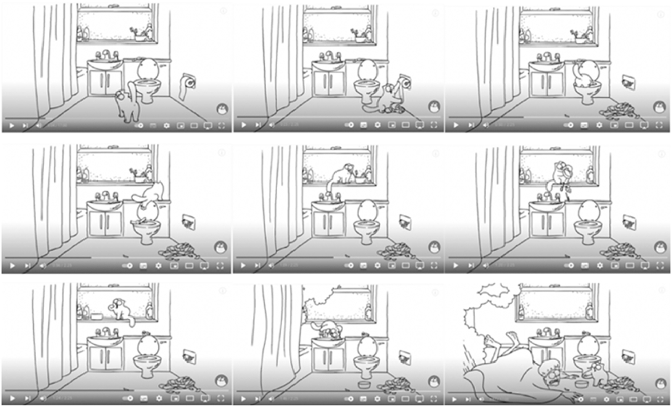 Figure 1:
Selection of captures of the main events in the video.