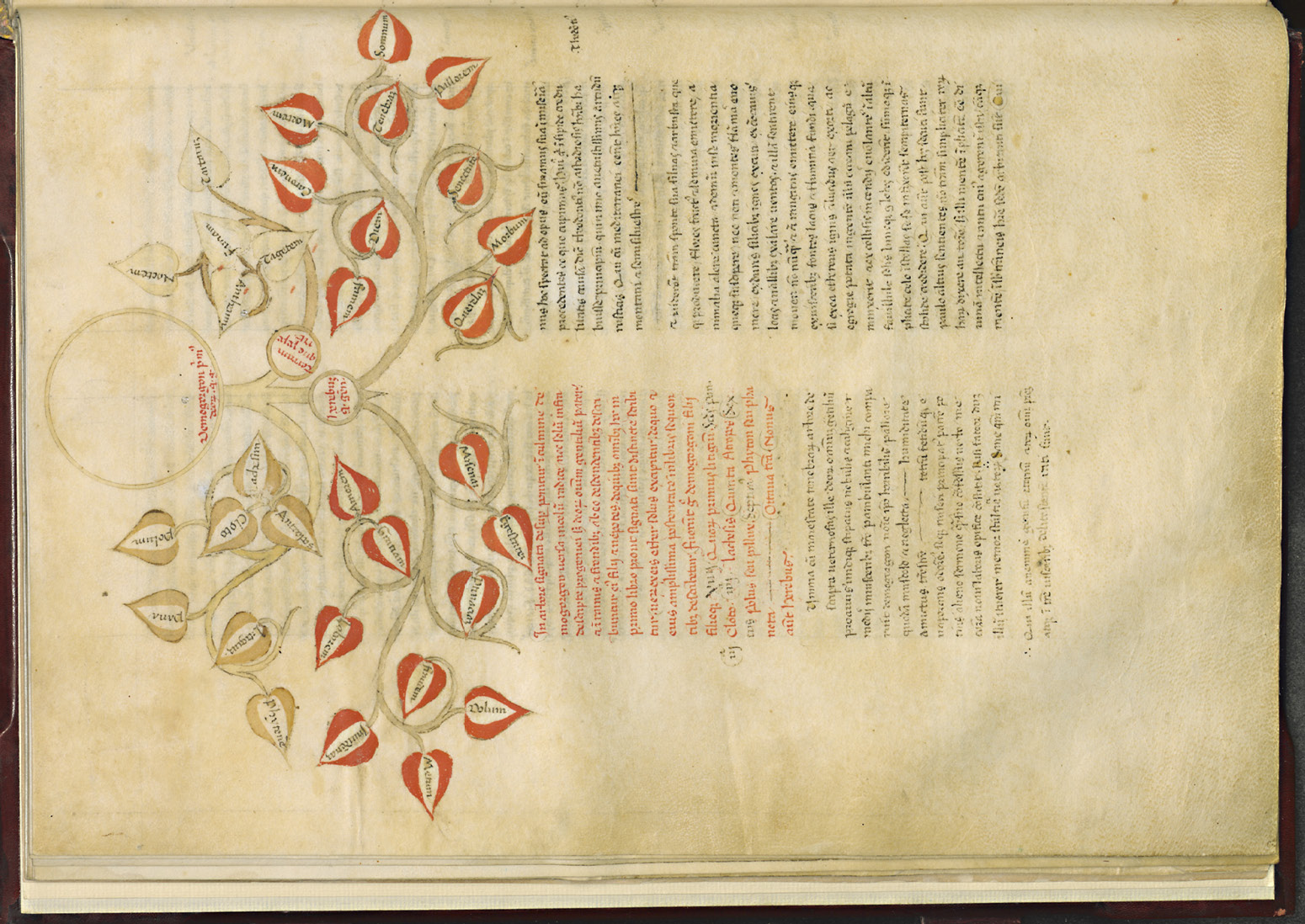 Abb. 4a und b Giovanni Boccaccio, Genealogia deorum gentilium, Autograph, 1365–1370. Florenz, Biblioteca Medicea Laurenziana, Ms. plut. 52,9, fol. 11v. © Su concessione del MiBAC. E’ vietata ogni ulteriore riproduzione con qualsiasi mezzo.