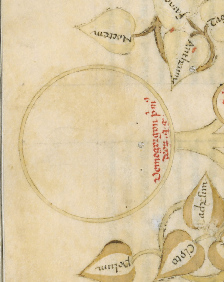 Abb. 4a und b Giovanni Boccaccio, Genealogia deorum gentilium, Autograph, 1365–1370. Florenz, Biblioteca Medicea Laurenziana, Ms. plut. 52,9, fol. 11v. © Su concessione del MiBAC. E’ vietata ogni ulteriore riproduzione con qualsiasi mezzo.