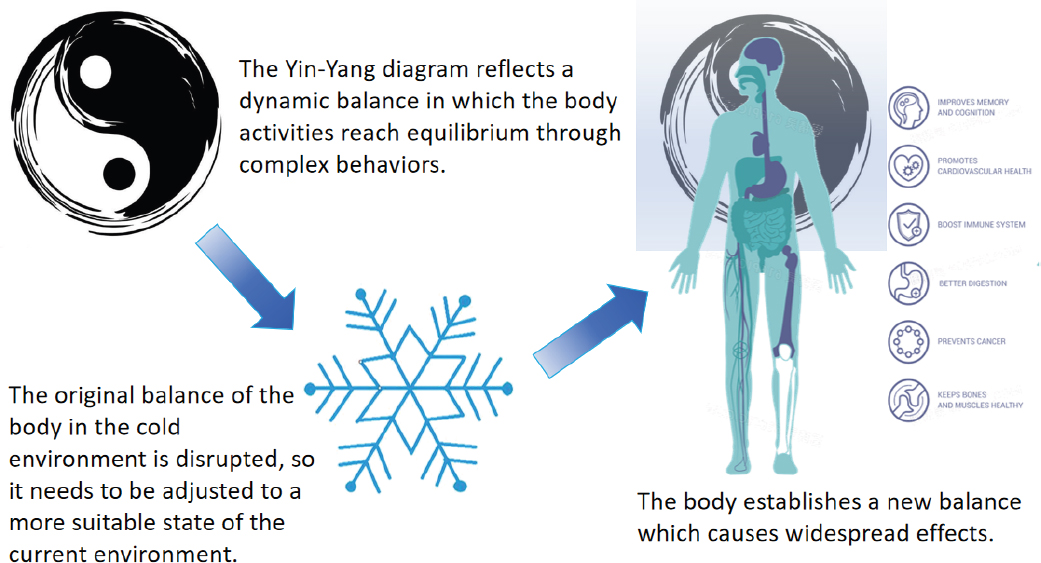 Fig. 1
Yin-yang balance and the change of human body balance in cold environments