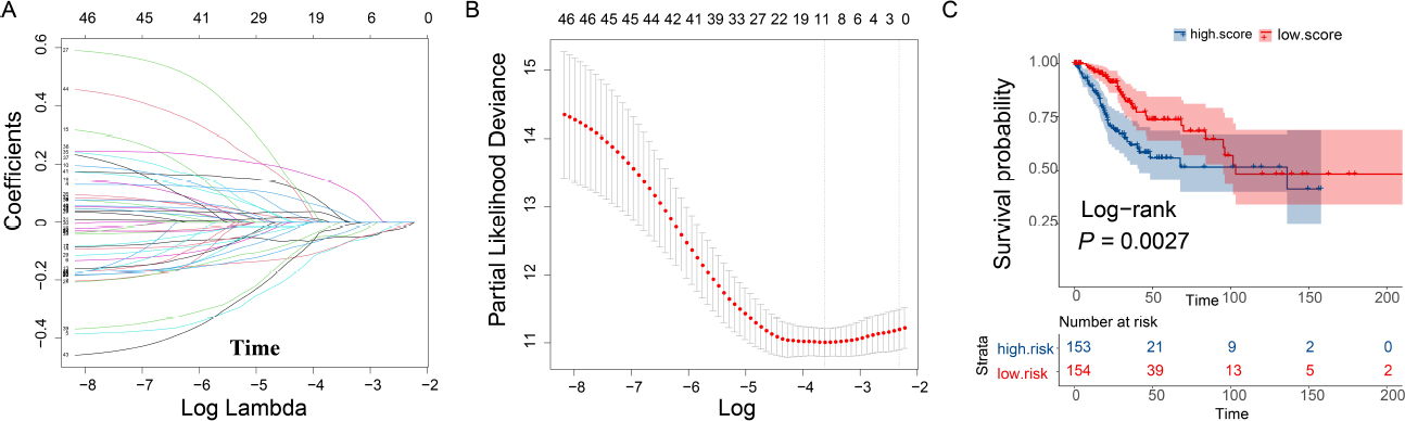 Fig. 3
LASSO regression analysis
(A) The larger the lambda is, the closer the regression coefficient tends to zero; (B) The smaller the likelihood deviation is, the better the model fittingis; (C) Survival curve of immune-related gene marker scores.