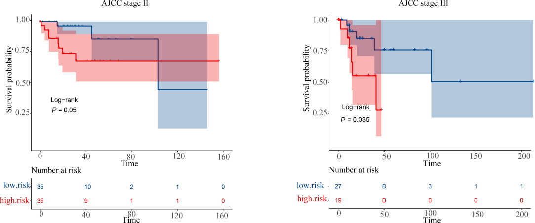 Fig. 5
The overall survival of the gene markers in stage II and stage III cervical squamous cell carcinoma (CESC) patients