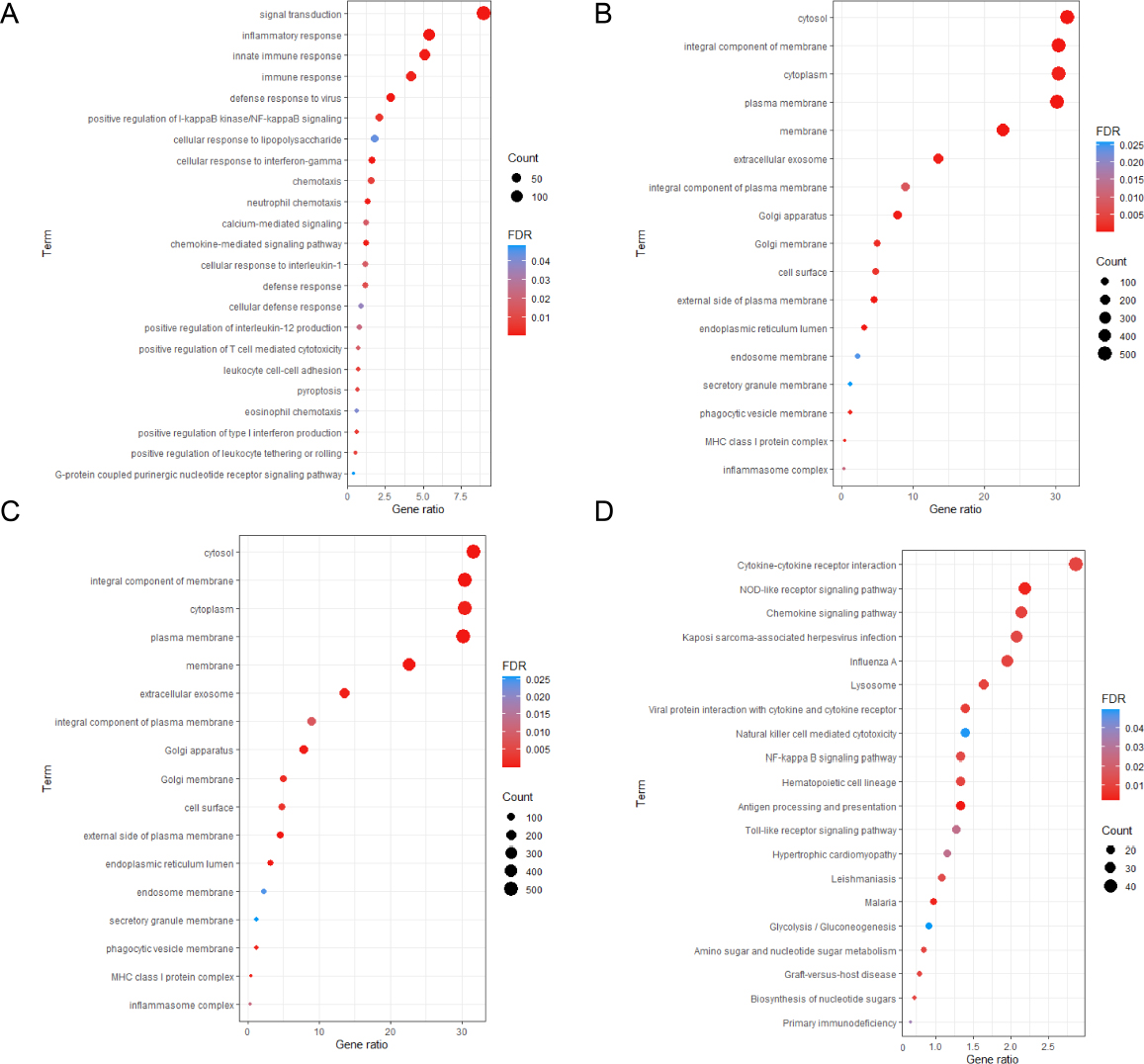 Fig. 7
Analysis of biological function differences between the high immune-related gene marker score group and the low immune-related gene marker score group (A) Biologic process function of differentially expressed genes; (B) Cellular components function of differentially expressed genes; (C) Molecular functions of differentially expressed genes; (D) KEGG pathway enrichment analysis of differentially expressed genes.
